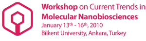 Workshop on Current Trends in Molecular Nanobiosciences, January 13th-16th, 2009, Bilkent University, Ankara, Turkey